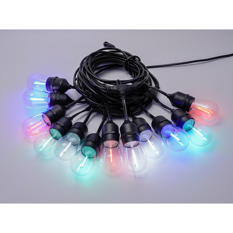 S14 Two-color Plastic Shell Light String